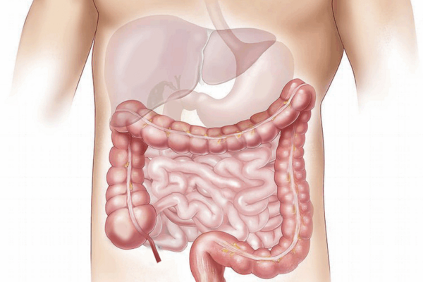 offal-1463369_1280-768x720.png